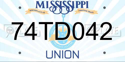 74TD042 Mississippi License Plate