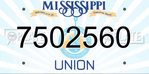 7502560 Mississippi License Plate