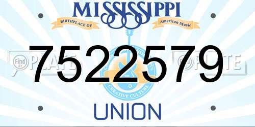 7522579 Mississippi License Plate