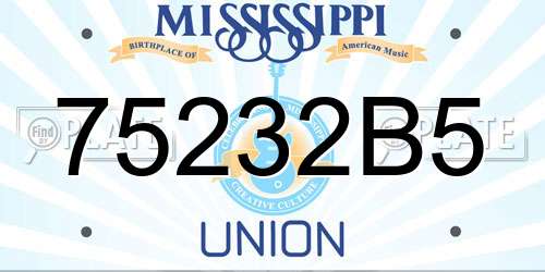 75232B5 Mississippi License Plate
