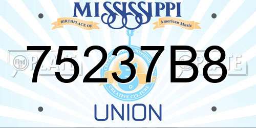 75237B8 Mississippi License Plate