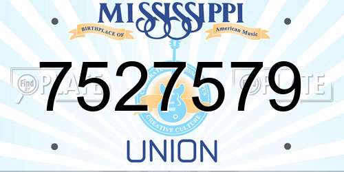 7527579 Mississippi License Plate