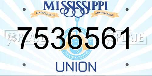 7536561 Mississippi License Plate