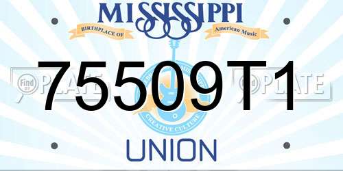 75509T1 Mississippi License Plate