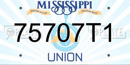 75707T1 Mississippi License Plate