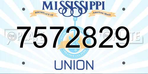 7572829 Mississippi License Plate