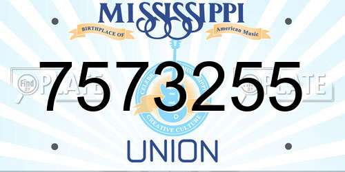 7573255 Mississippi License Plate