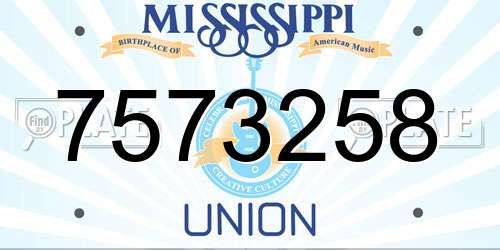 7573258 Mississippi License Plate