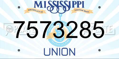 7573285 Mississippi License Plate