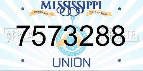 7573288 Mississippi License Plate
