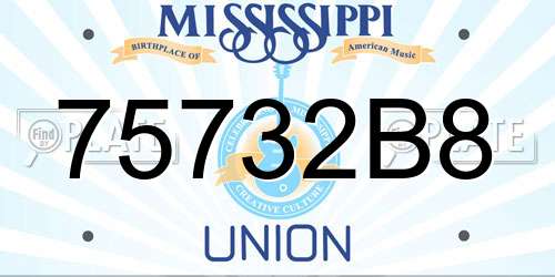 75732B8 Mississippi License Plate