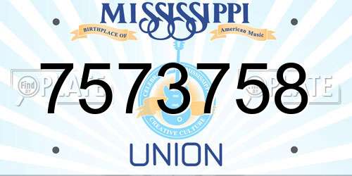 7573758 Mississippi License Plate