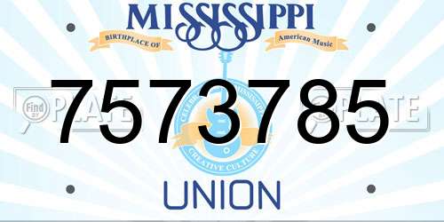 7573785 Mississippi License Plate