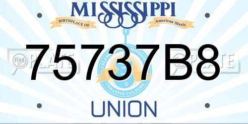 75737B8 Mississippi License Plate