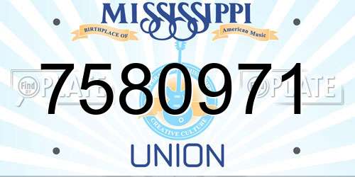 7580971 Mississippi License Plate