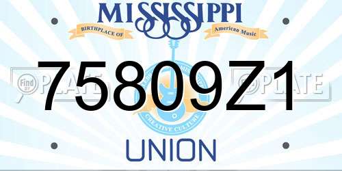 75809Z1 Mississippi License Plate