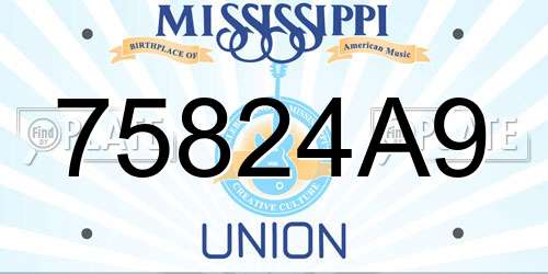 75824A9 Mississippi License Plate