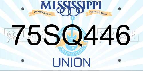 75SQ446 Mississippi License Plate