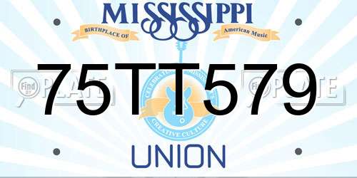 75TT579 Mississippi License Plate