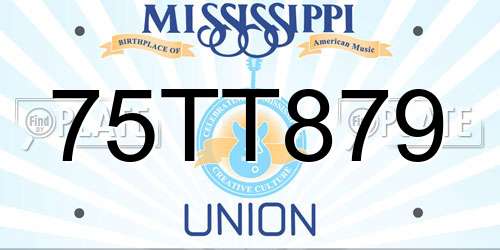 75TT879 Mississippi License Plate