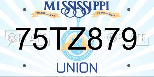75TZ879 Mississippi License Plate