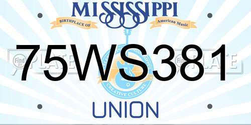 75WS381 Mississippi License Plate