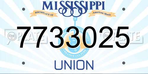 7733025 Mississippi License Plate