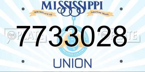 7733028 Mississippi License Plate