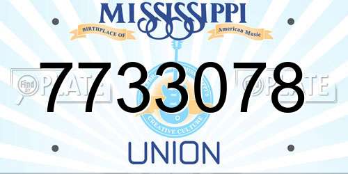 7733078 Mississippi License Plate