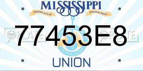 77453E8 Mississippi License Plate