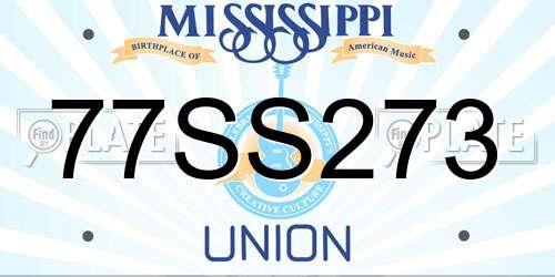 77SS273 Mississippi License Plate