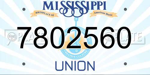 7802560 Mississippi License Plate