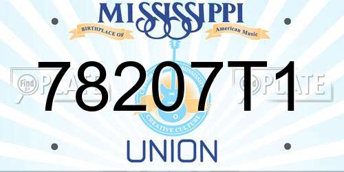 78207T1 Mississippi License Plate