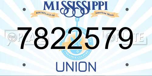 7822579 Mississippi License Plate