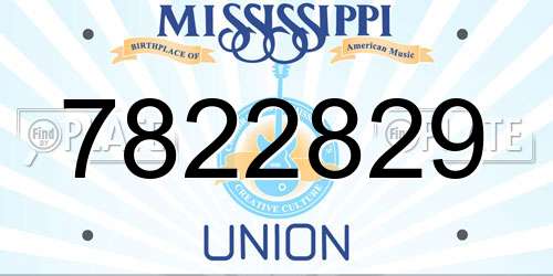 7822829 Mississippi License Plate