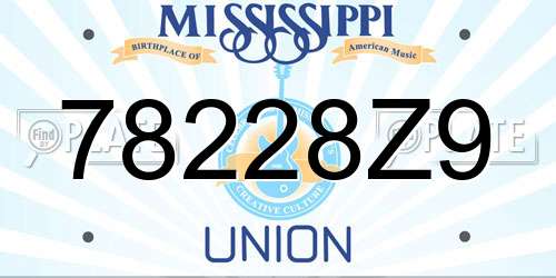 78228Z9 Mississippi License Plate