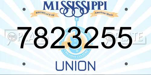 7823255 Mississippi License Plate
