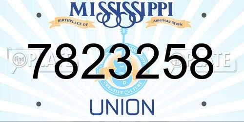 7823258 Mississippi License Plate