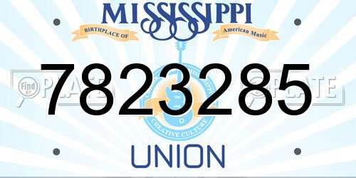 7823285 Mississippi License Plate