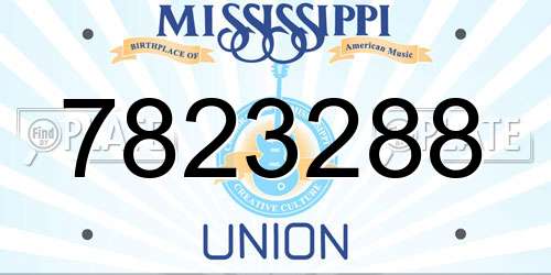 7823288 Mississippi License Plate