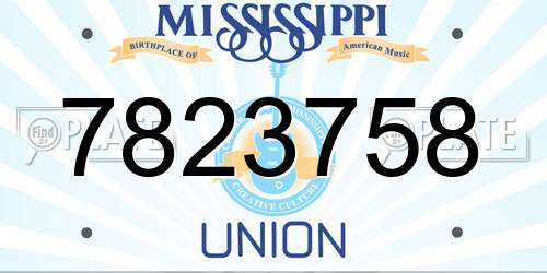 7823758 Mississippi License Plate