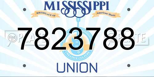 7823788 Mississippi License Plate