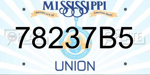 78237B5 Mississippi License Plate