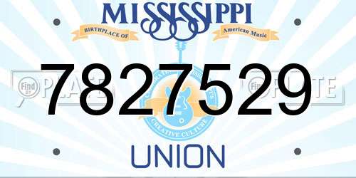 7827529 Mississippi License Plate