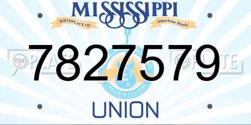 7827579 Mississippi License Plate