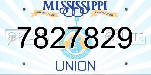 7827829 Mississippi License Plate