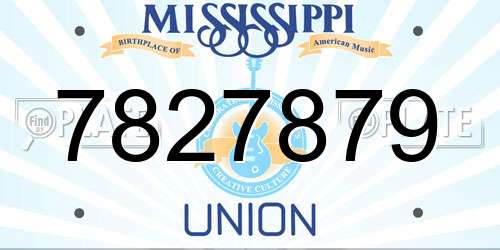 7827879 Mississippi License Plate