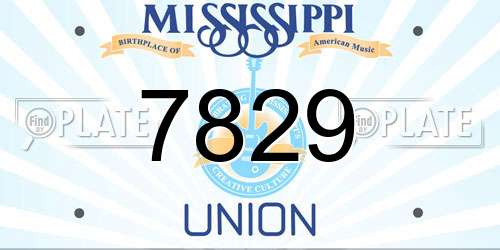 7829 Mississippi License Plate