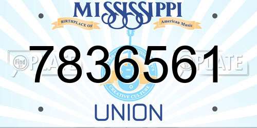 7836561 Mississippi License Plate
