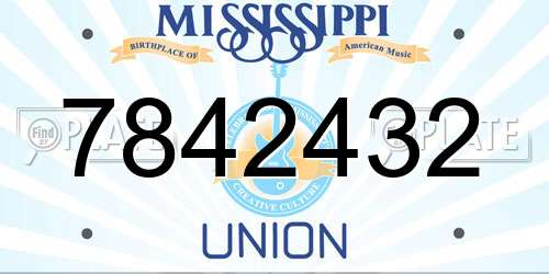 7842432 Mississippi License Plate